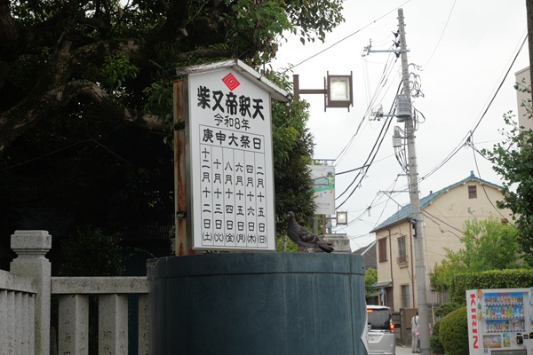 画像 -20270211-225852-328d9e9b_0012